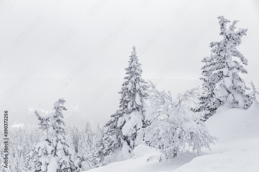 Naklejka premium Winter landscape. Zyuratkul national Park, Chelyabinsk region, South Ural, Russia.
