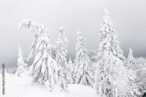 Winter landscape. Zyuratkul national Park, Chelyabinsk region, South Ural, Russia