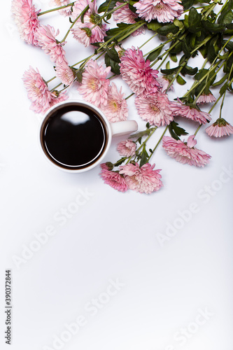 Flowers composition. Border of coffee cup with pink chrysanthemum on white background. Flat lay, top view, copy space