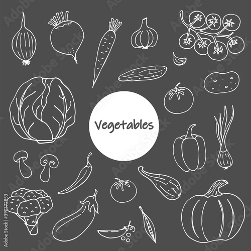 Set of vegetable doodles on a dark background. Hand-drawn images. Vector for posters, web, textiles, children's coloring pages.