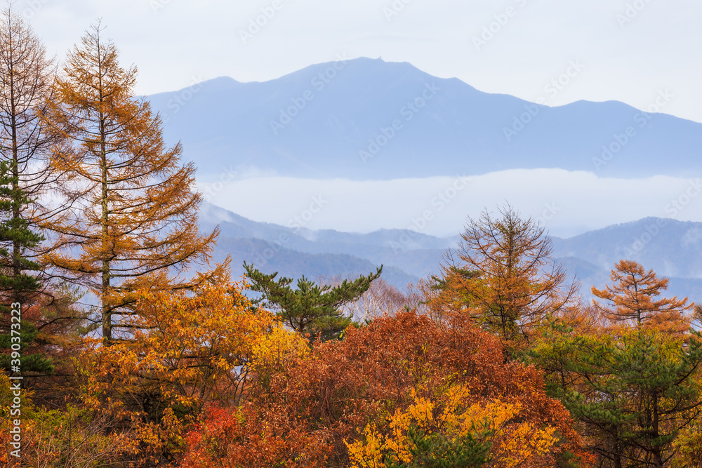 Fototapeta premium 日本の百名山・10月の八ヶ岳・山梨