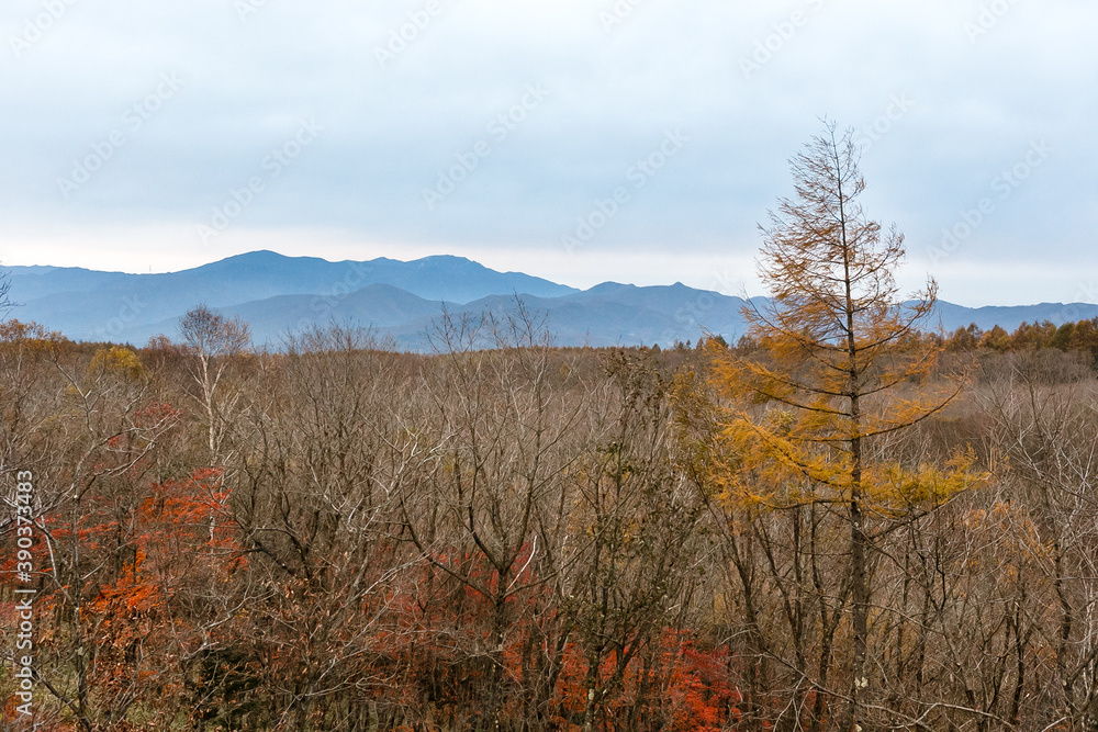Fototapeta premium 日本の百名山・10月の八ヶ岳・山梨
