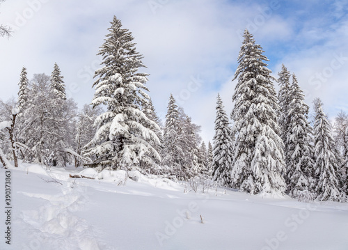 Winter landscape. Zyuratkul national Park  Chelyabinsk region  South Ural  Russia