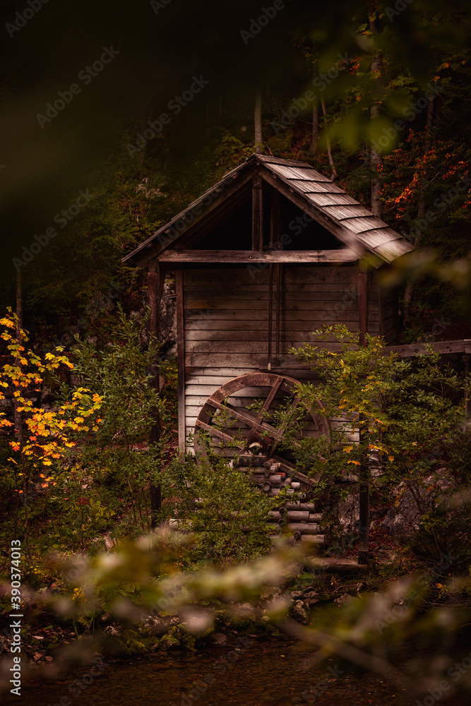 old mill in the forest old mill in the forest