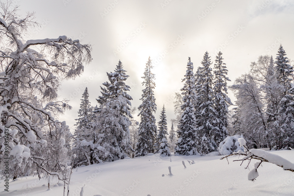 Naklejka premium Winter landscape. Zyuratkul national Park, Chelyabinsk region, South Ural, Russia