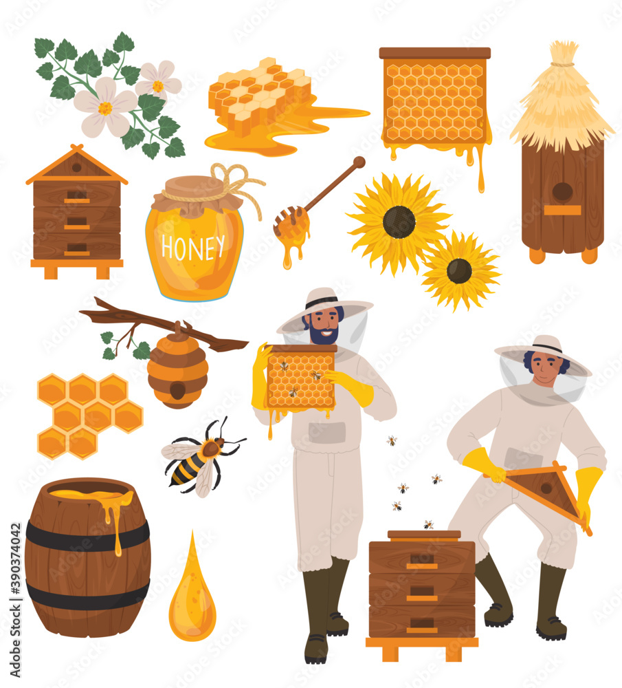 Beekeeping set, flat vector illustration. Beekeeper cartoon characters