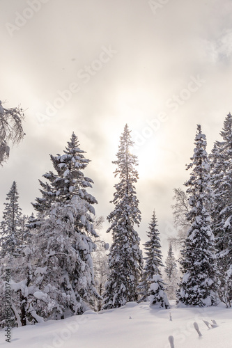 Winter landscape. Zyuratkul national Park, Chelyabinsk region, South Ural, Russia