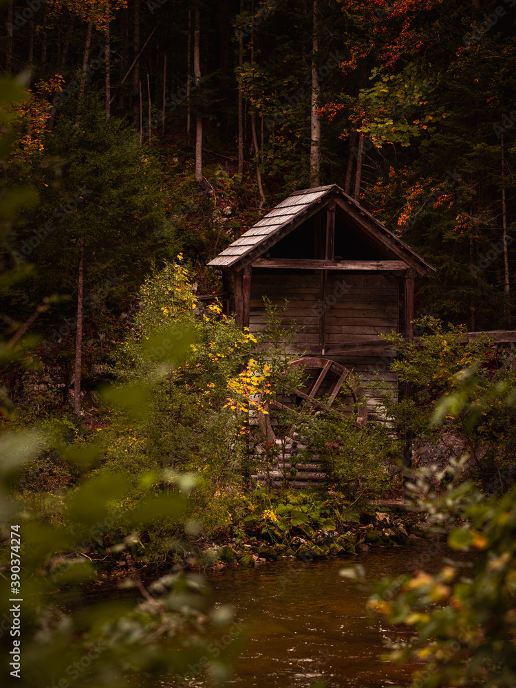 old mill in the forest 