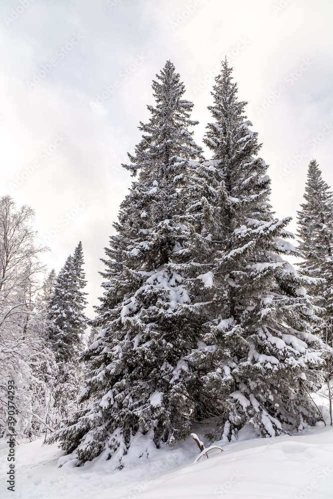 Winter landscape. Zyuratkul national Park, Chelyabinsk region, South Ural, Russia