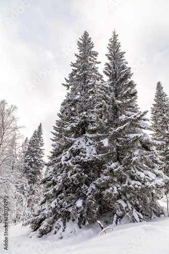 Winter landscape. Zyuratkul national Park, Chelyabinsk region, South Ural, Russia