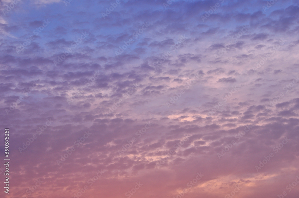 Fototapeta premium 夕焼け雲