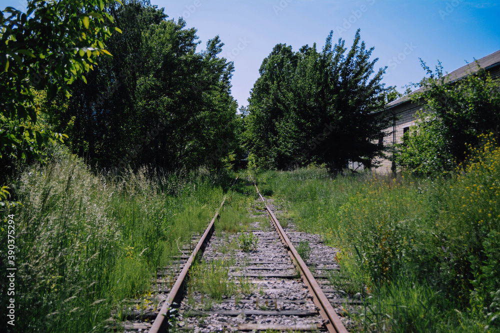 Obraz premium railway in the countryside