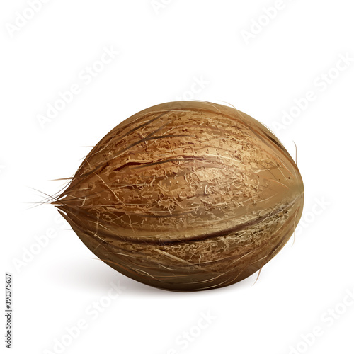 Coconut Freshness Tropical Nut Tree Fruit Vector. Vegetarian Delicious Exotical Ripe Coconut, Gourmet Tasty Sweet Nutrition. Farm Harvest Coco Palm Template Realistic 3d Illustration