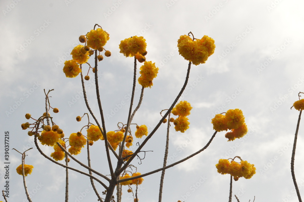 Sunset over thebeaches and islands of Southern Myanmar / Burma in Southeast asia