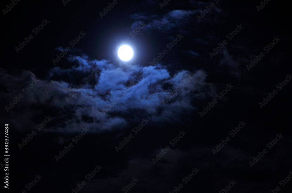 Obraz premium 仲秋の名月