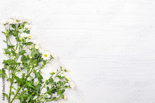 A bouquet of white bush chrysanthemums on a wooden table. © Ekaterina Kolomeets