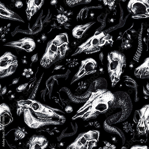 Vector black and white graphic hand drawn pattern with different animal skulls isolated on the black background. Seamless pattern can be used for wallpaper, web page background, surface texture