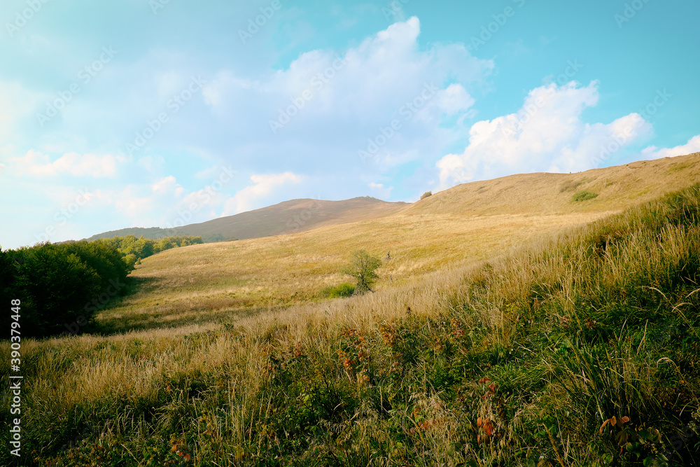 Bieszczady Mountains  National Park. Countryside landscape