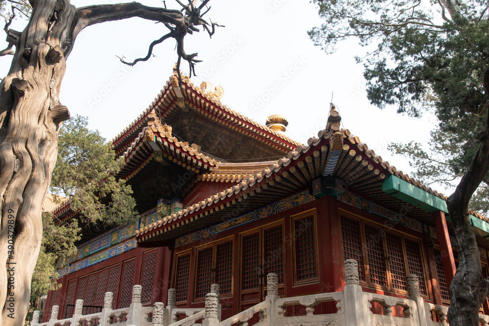 February 2019, Beijing, the Forbidden City. The largest palace in the world for nearly five centuries has served as a home for emperors and their families, as well as a ceremonial and political center February 2019, Beijing, the Forbidden City. The largest palace in the world for nearly five centuries has served as a home for emperors and their families, as well as a ceremonial and political center