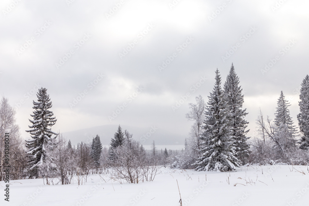 Naklejka premium Winter landscape. Zyuratkul national Park, Chelyabinsk region, South Ural, Russia.
