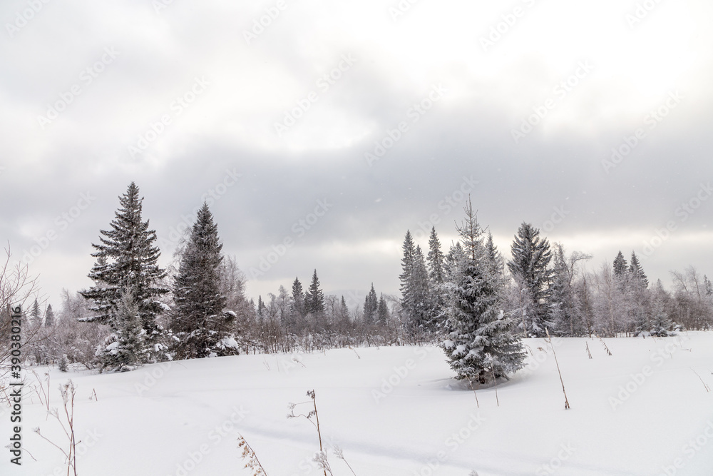 Obraz premium Winter landscape. Zyuratkul national Park, Chelyabinsk region, South Ural, Russia.