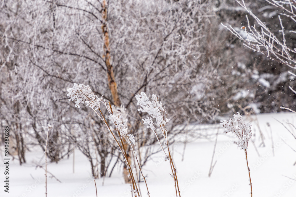 Winter landscape. Zyuratkul national Park, Chelyabinsk region, South Ural, Russia. Winter landscape. Zyuratkul national Park, Chelyabinsk region, South Ural, Russia.