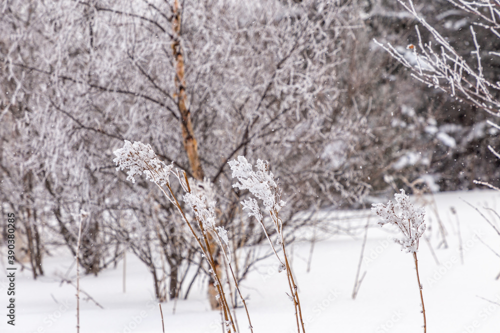 Winter landscape. Zyuratkul national Park, Chelyabinsk region, South Ural, Russia.