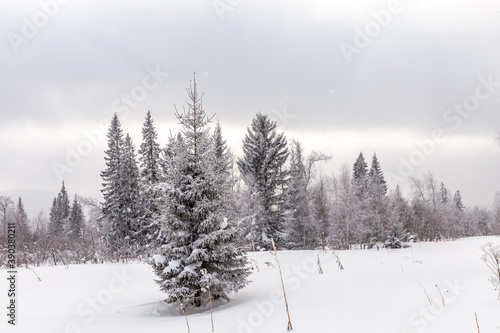 Winter landscape. Zyuratkul national Park  Chelyabinsk region  South Ural  Russia.
