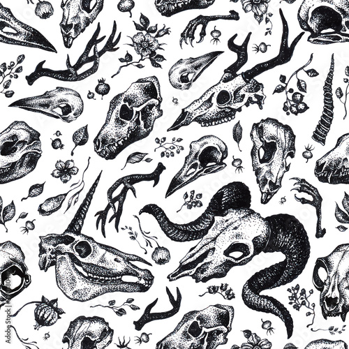 Vector black and white graphic hand drawn pattern with different animal skulls isolated on the white background. Seamless pattern can be used for wallpaper, web page background, surface texture