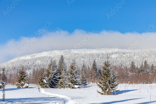 Winter landscape. Zyuratkul national Park  Chelyabinsk region  South Ural  Russia.