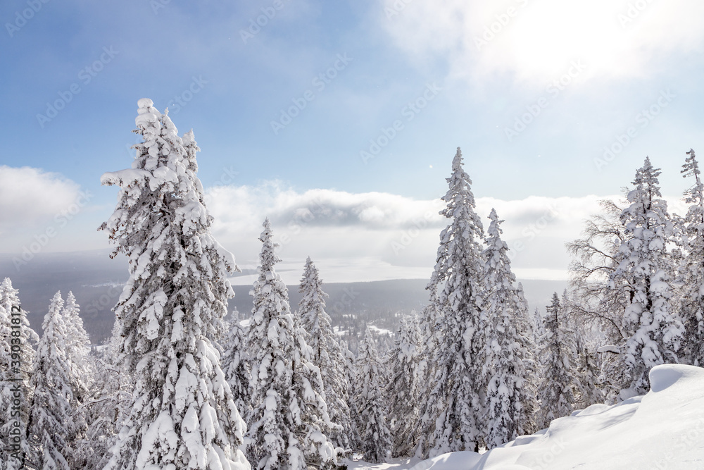Winter landscape. Zyuratkul national Park, Chelyabinsk region, South Ural, Russia. Winter landscape. Zyuratkul national Park, Chelyabinsk region, South Ural, Russia.