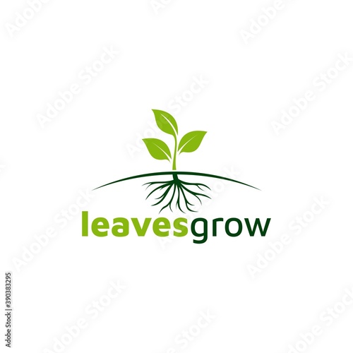 Creative Leaf Concept Logo Design Template. Vector illustration