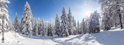 Fotografi Winter landscape