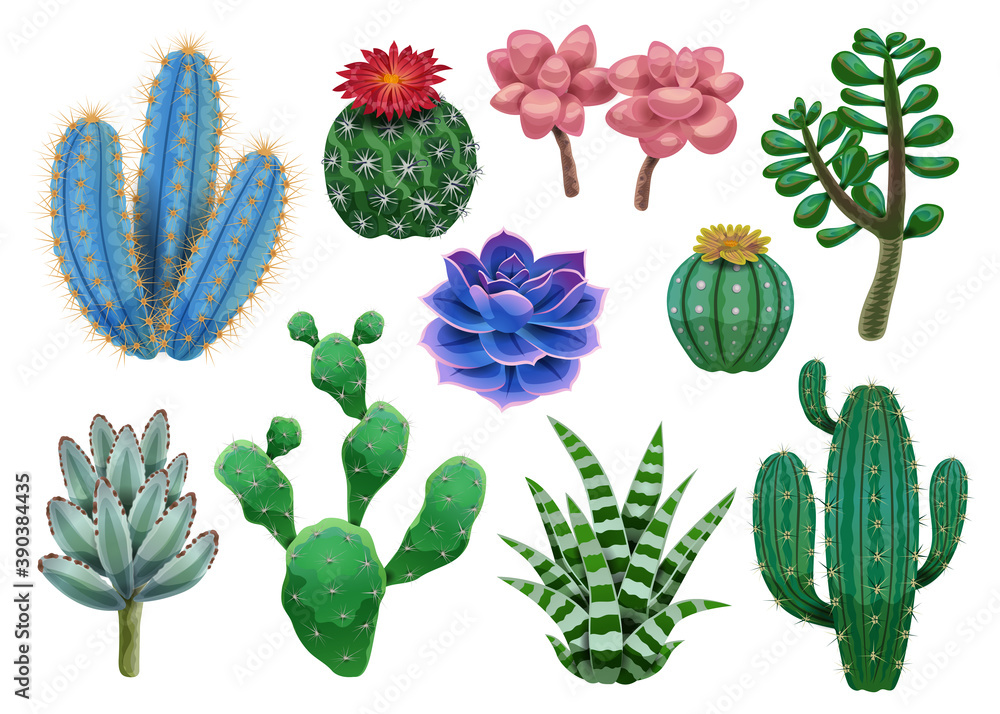 Cactus Plant Icons Collection Cactus Plant Icons Collection