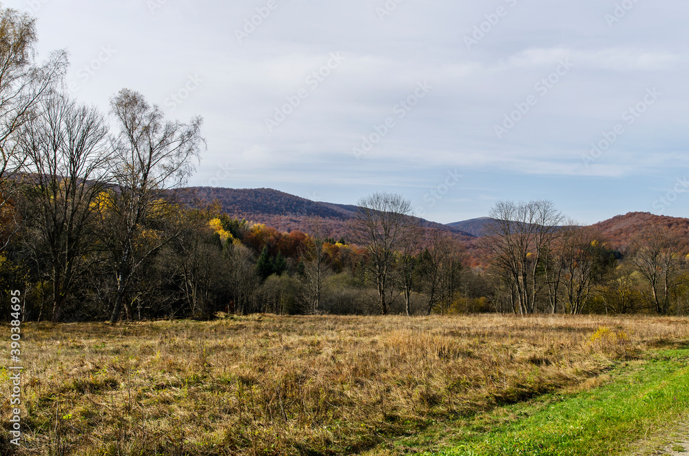 Fototapeta premium Bieszczady panorama 