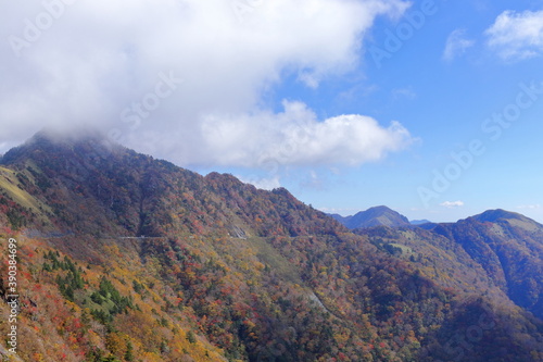 雄峰ライン　秋の紅葉を楽しむ（高知県　町道瓶ヶ森線） © mitumal 