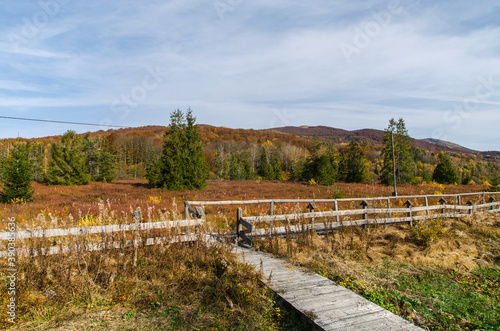 Fototapeta Naklejka Na Ścianę i Meble -  Torfowisko wysokie - Bieszczady