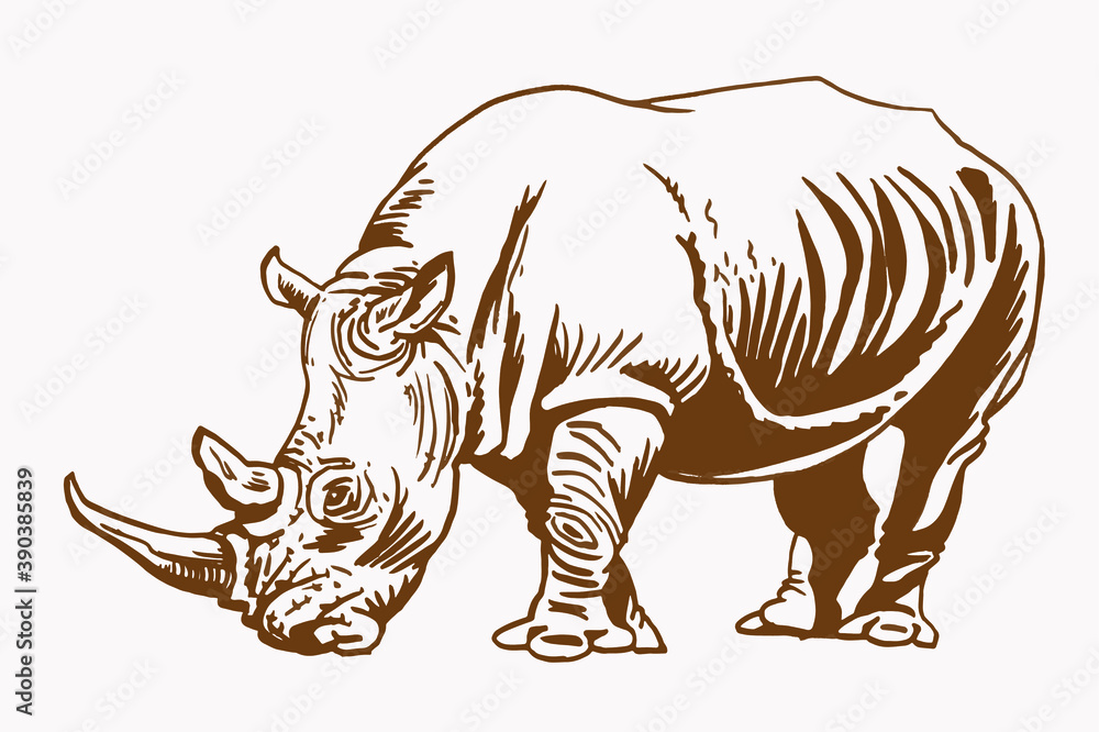 Vector rhino, sepia background, illustration