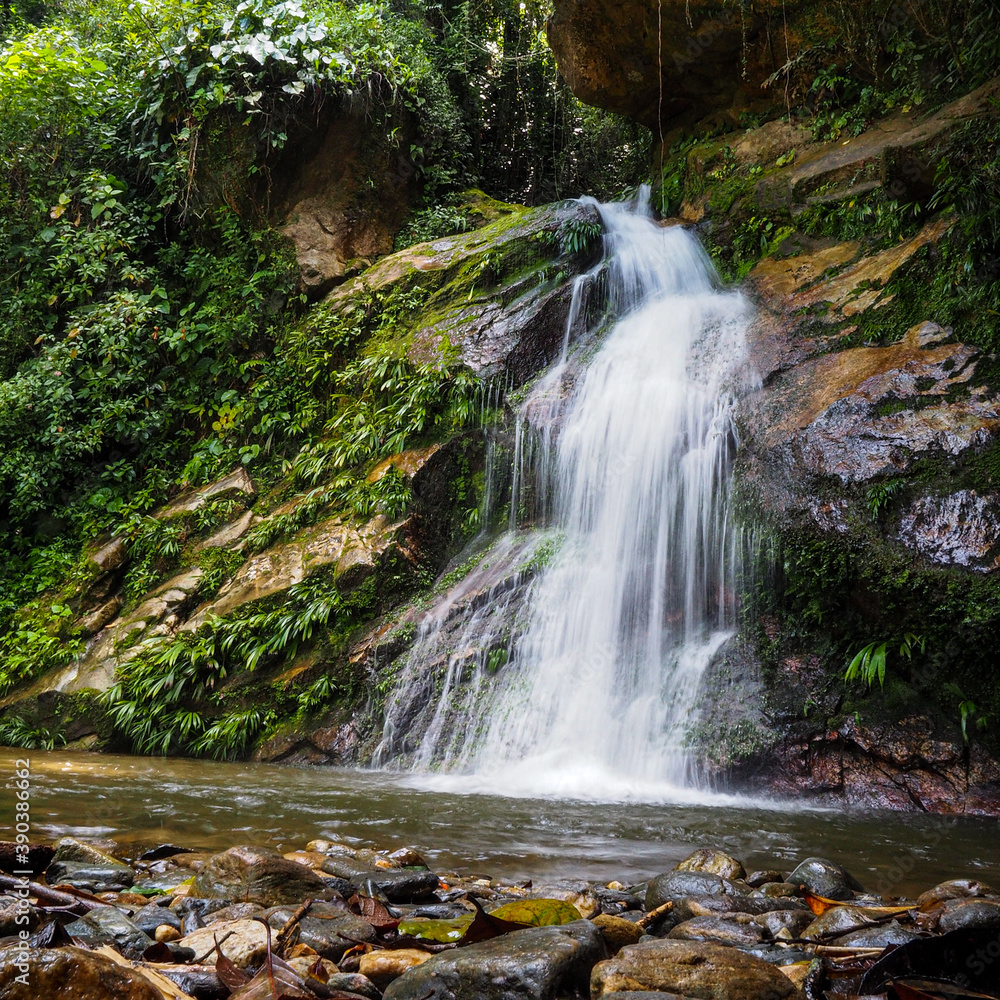 Fototapeta premium Cascade Minca, Colombia