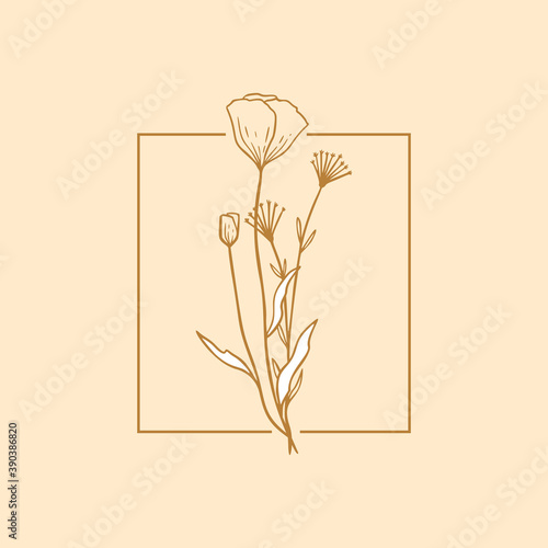 Floral poppy label for package. Wildflower linear logo sketch. Floral frame emblem for wedding, photographer brand, design.