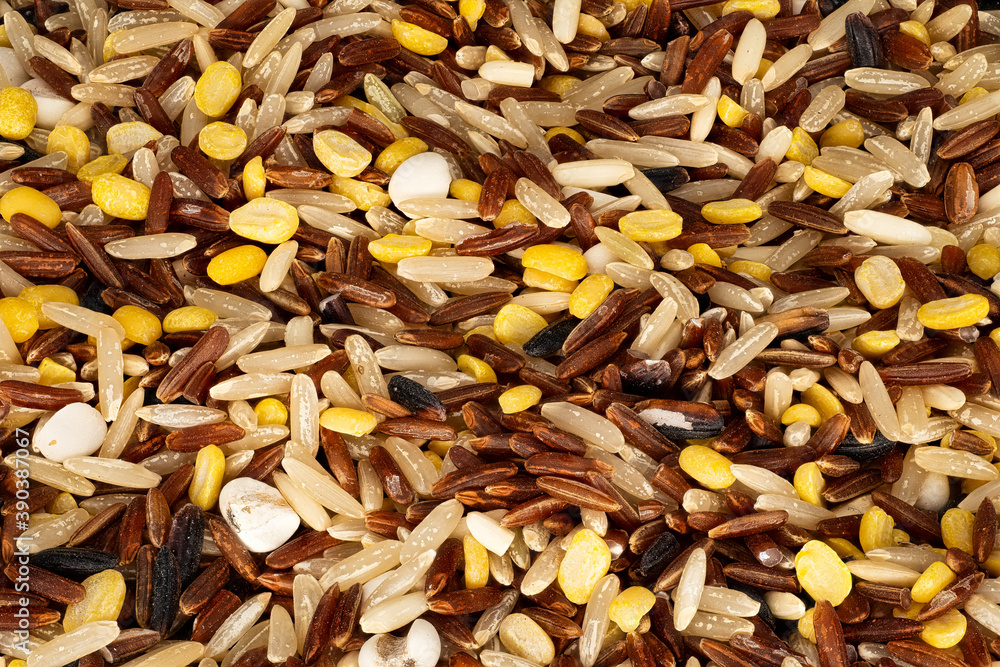 Vielkornreis Nahaufnahme