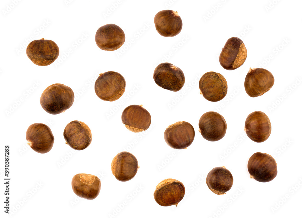 chestnut isolated on white background. Top view chestnut isolated on white background. Top view