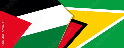 Palestine and Guyana flags, two vector flags.