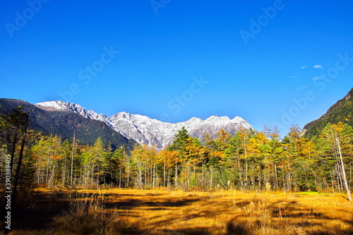 秋色の平地と雪山 © 昌興 川合