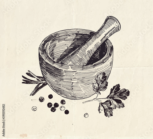 Hand drawn illustration of ceramic mortar and pestle with parsley leaves and black peppercorns