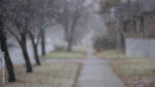 Wallpaper Mural Snow Falling on Sidewalk of Neighborhood on Cold Winter Day, Out of Focus on Snow Torontodigital.ca