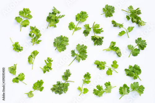 Fresh coriander leaves on white.