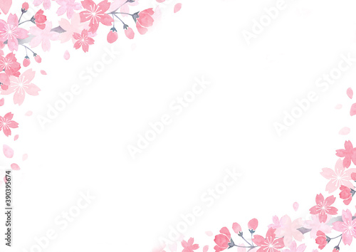 水彩で描いた桜の背景イラスト