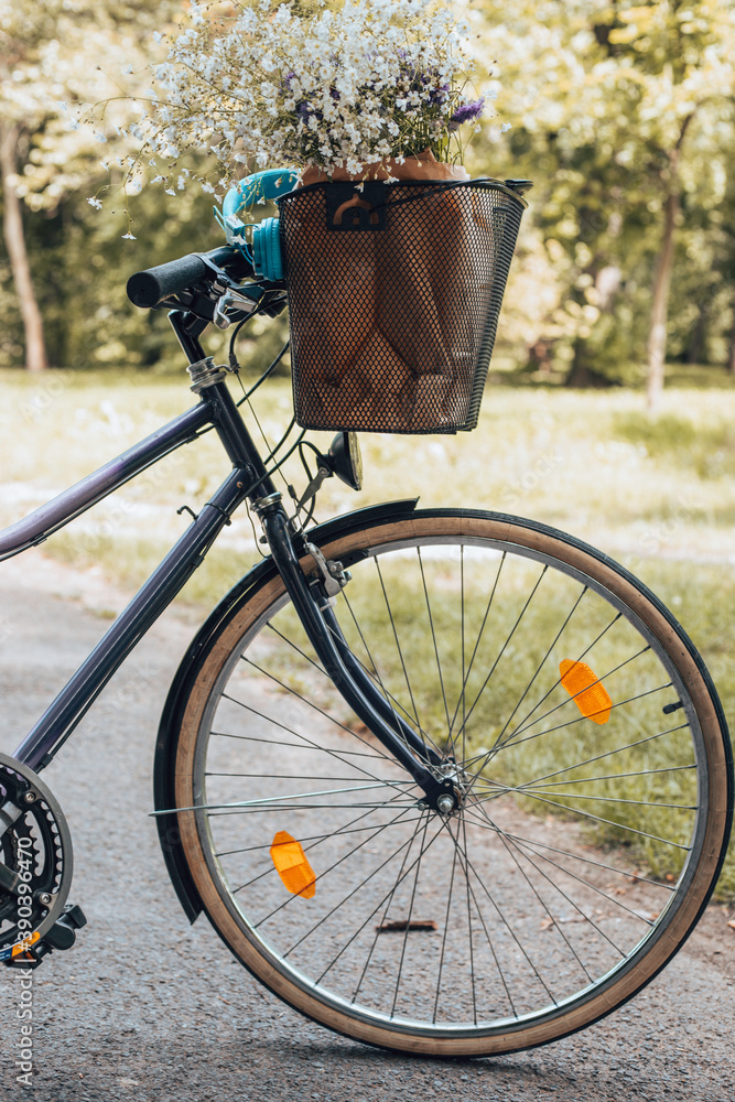 Fototapeta premium Retro bicycle with a basket in nature.