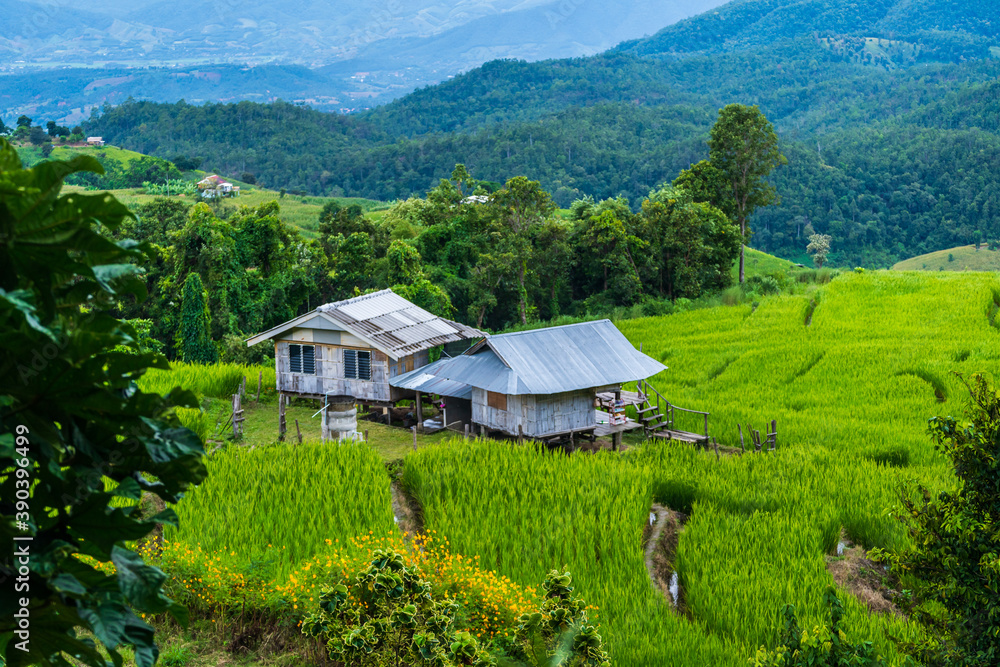 Pa Bong Piang Rice Terraces at Pa Bong Piang village in Mae Cham, Chiangmai, Thailand. Pa Bong Piang Rice Terraces at Pa Bong Piang village in Mae Cham, Chiangmai, Thailand.
